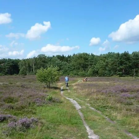Hotel Akzent Zur Wasserburg - Garni 3*